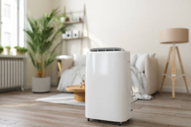 Best Thermostats and Smart Controls in Socastee, SC
